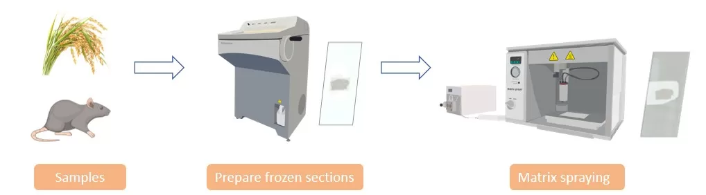 Sample Preparation for Spatial Omics Sample Preparation for Spatial Omics